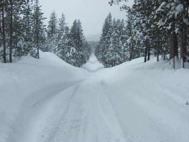 Name:  donner.jpg
Views: 1289
Size:  65.8 KB