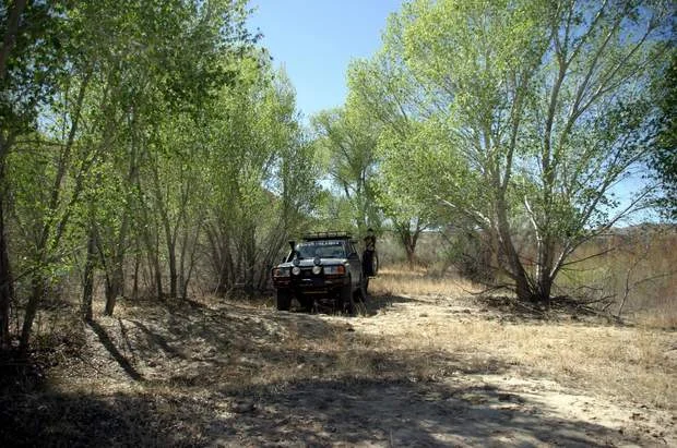 Name:  aaa lunch in trees.JPG
Views: 78
Size:  64.6 KB
