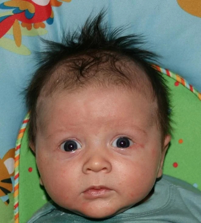 Name:  face.JPG
Views: 71
Size:  53.2 KB
