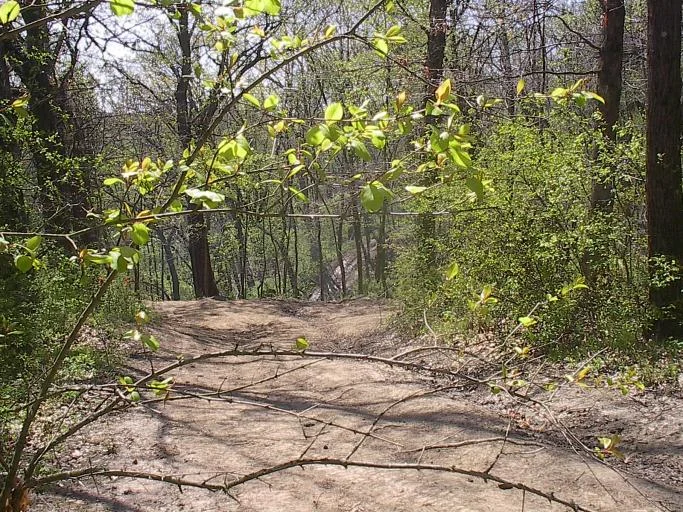 Name:  IM001614.jpg
Views: 61
Size:  133.2 KB