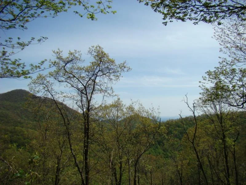 Name:  2008 GSMTR 022.jpg
Views: 109
Size:  85.9 KB