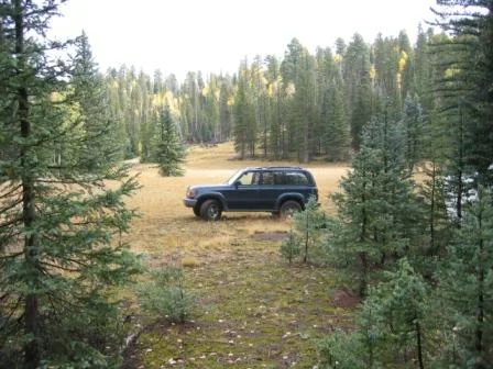 Name:  ROTW canyon 1.JPG
Views: 841
Size:  35.8 KB