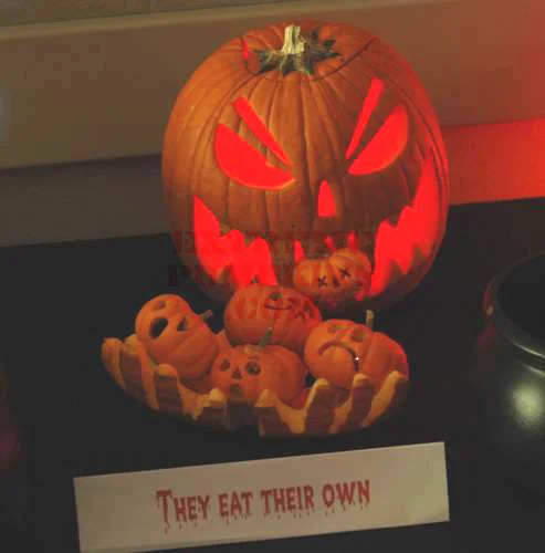 Name:  they eat their own.jpg
Views: 244
Size:  39.6 KB