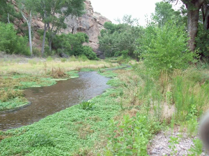 Name:  100_0802.jpg
Views: 292
Size:  113.2 KB