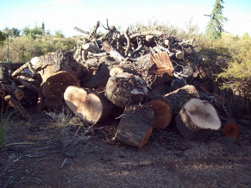 Name:  100_0914.jpg
Views: 181
Size:  103.5 KB