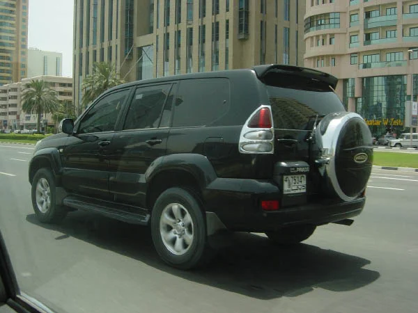 Name:  DSC02985.jpg
Views: 908
Size:  42.1 KB