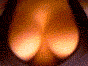 attachment.php