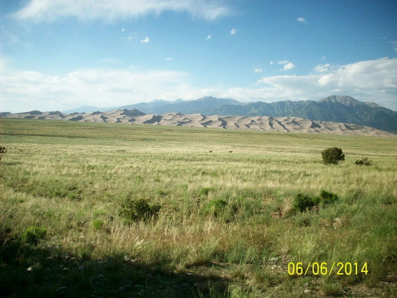 000_0001.webp