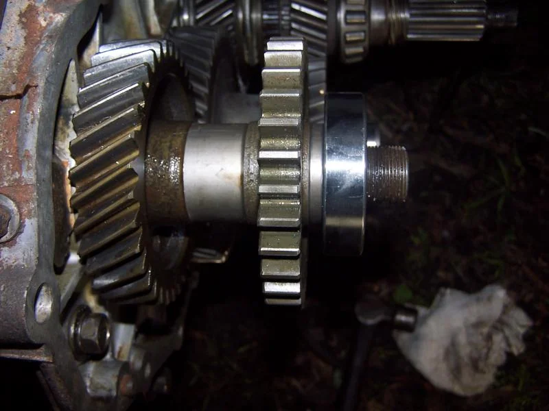 000_0274.webp