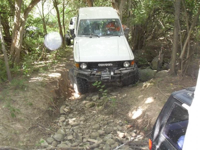 002.webp