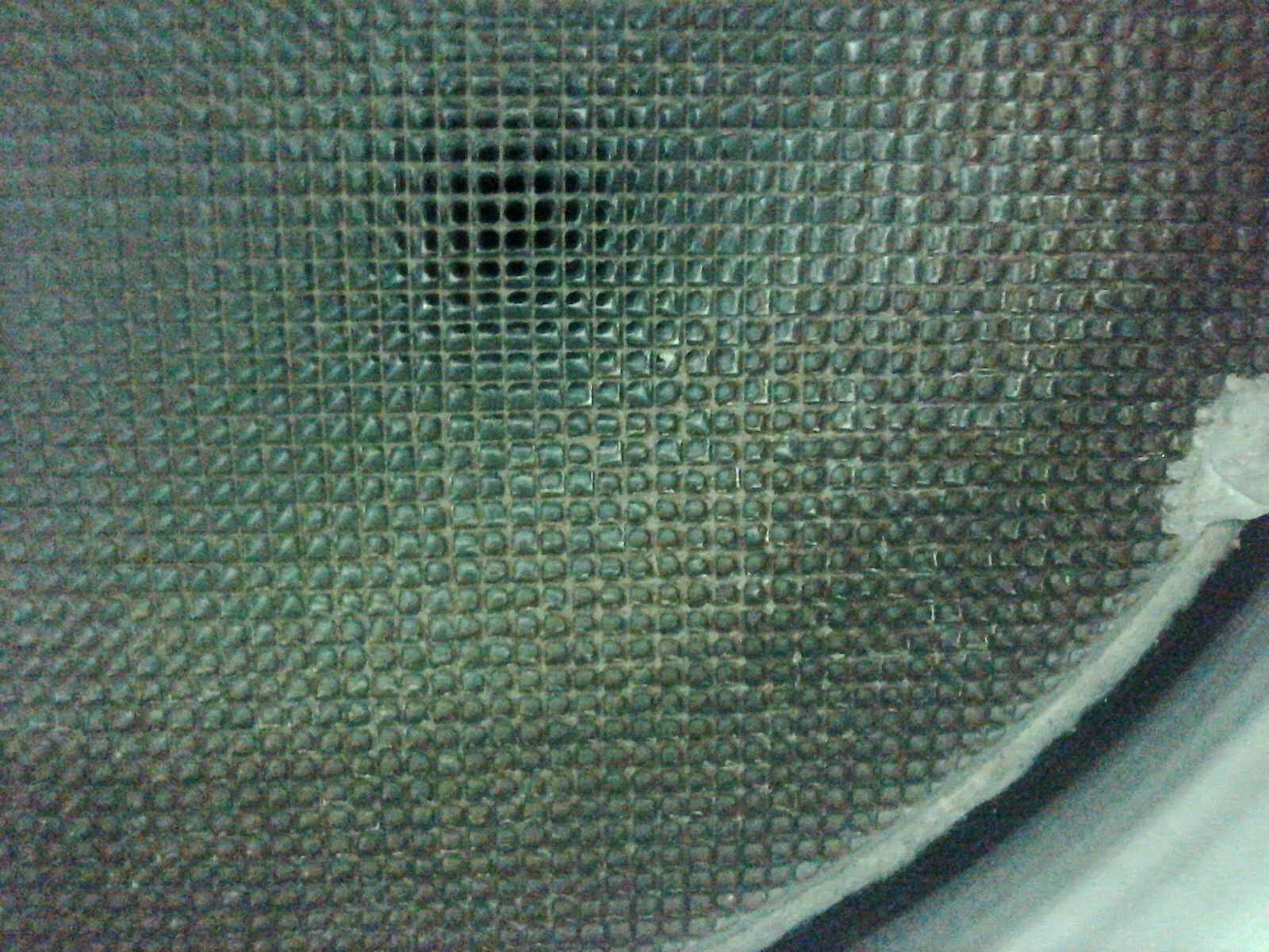 004.JPG