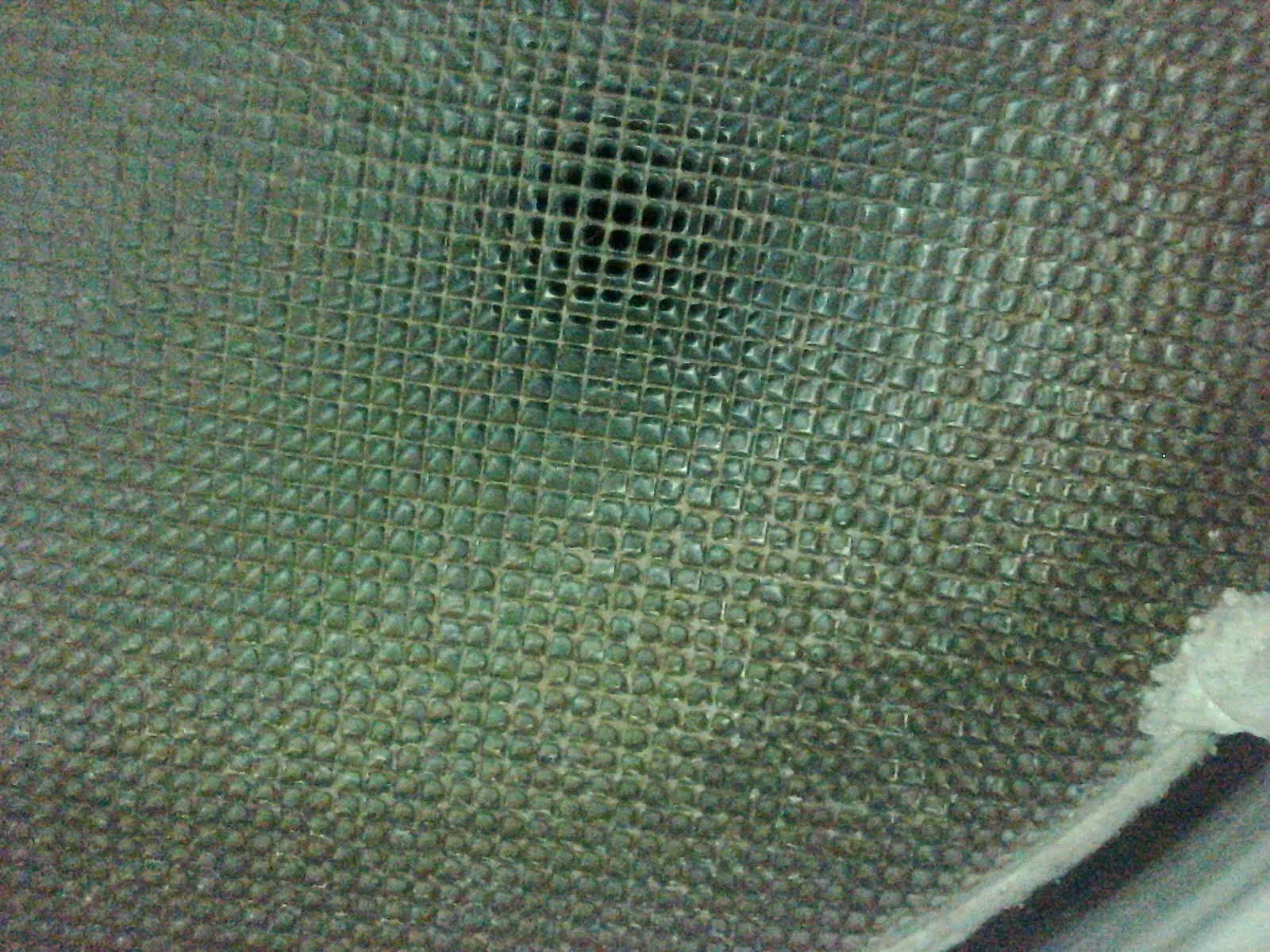 005.JPG