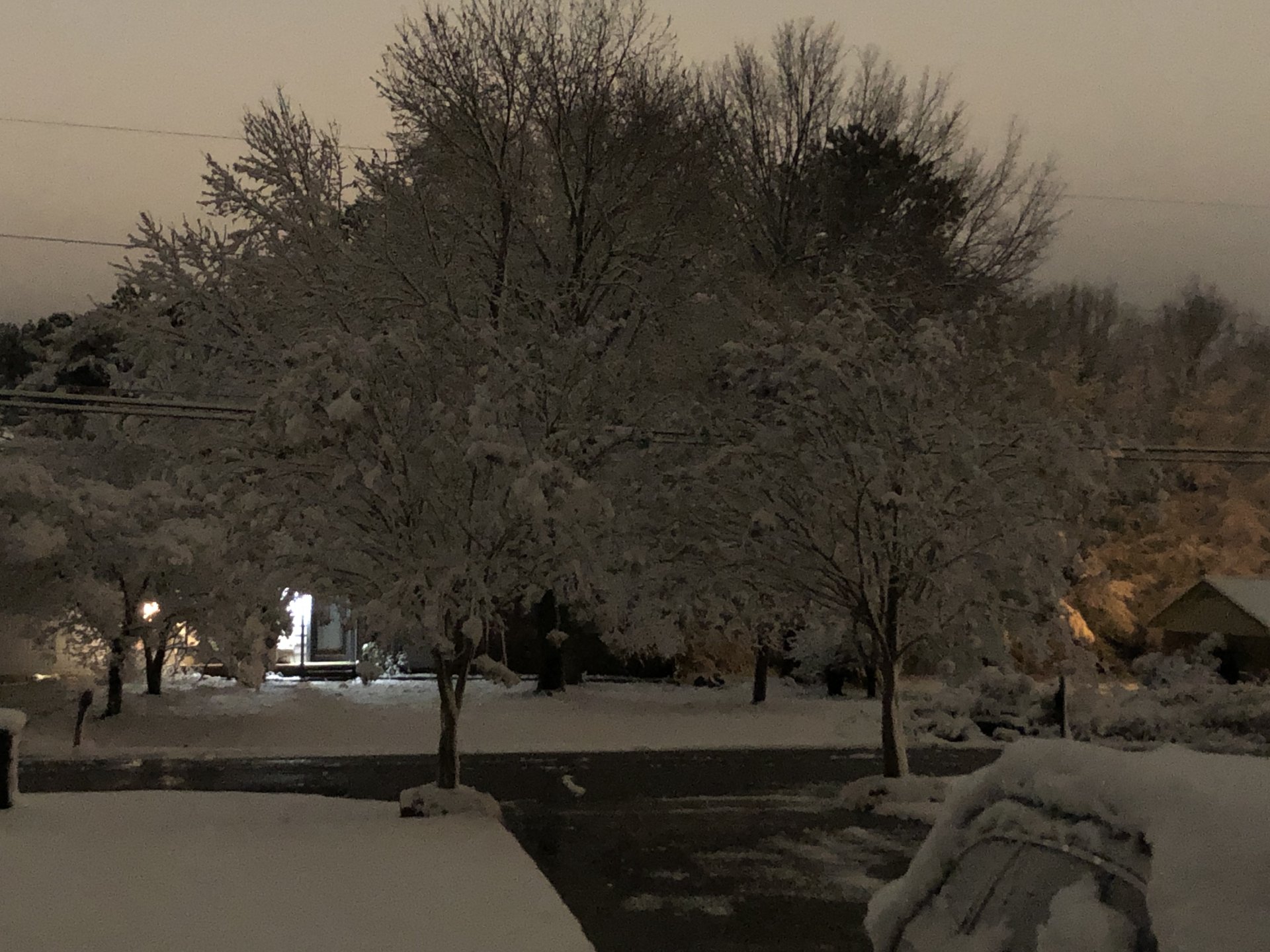 00D67795-9A54-4D67-A080-EC0F73E7B93C.jpeg