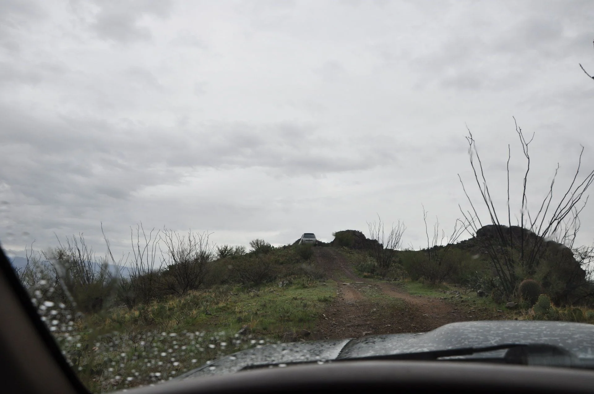012.webp
