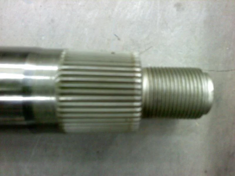 0204001003b.webp