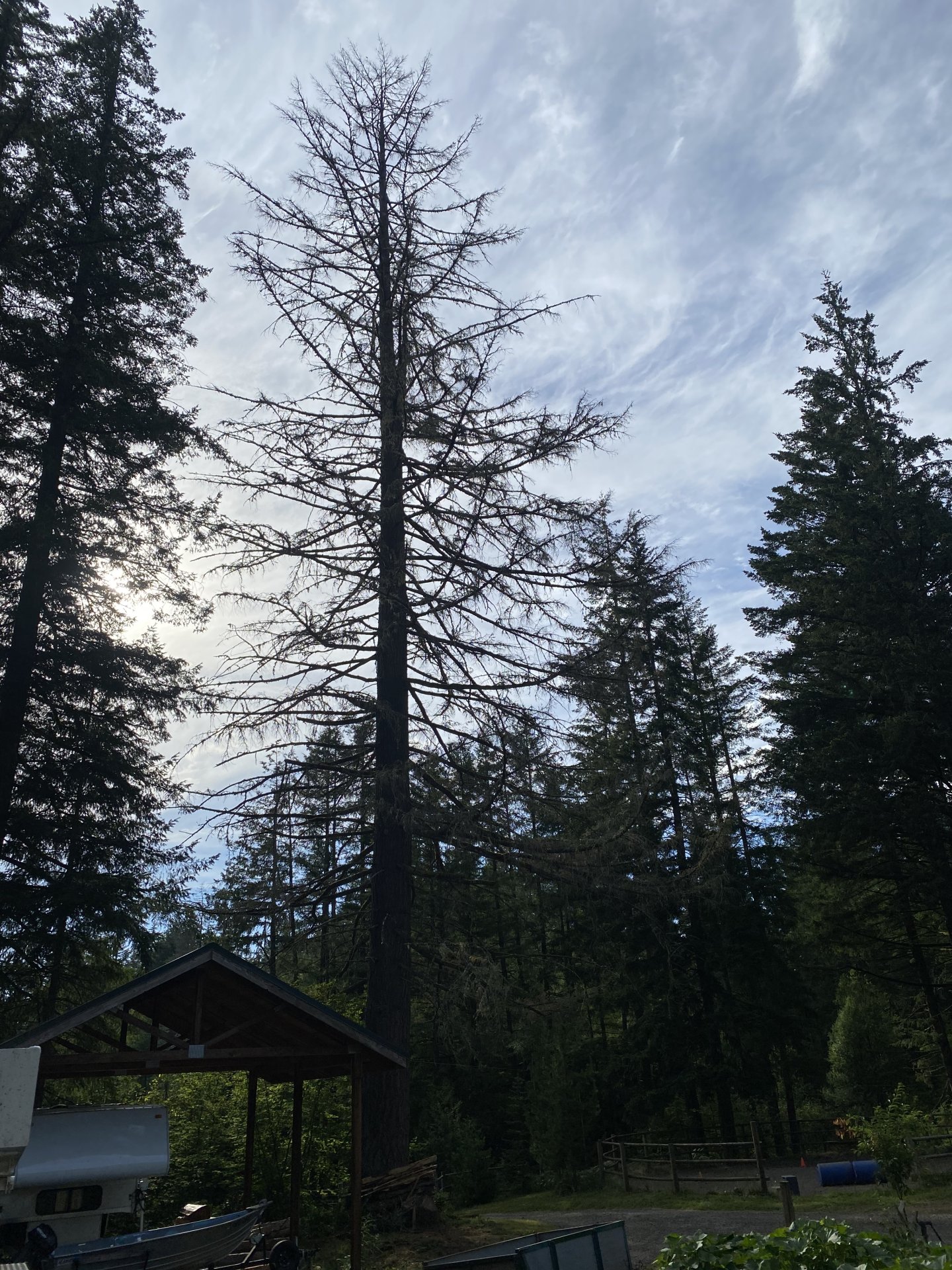 04124D70-6B96-48EF-A84A-3D473B9AF51D.jpeg
