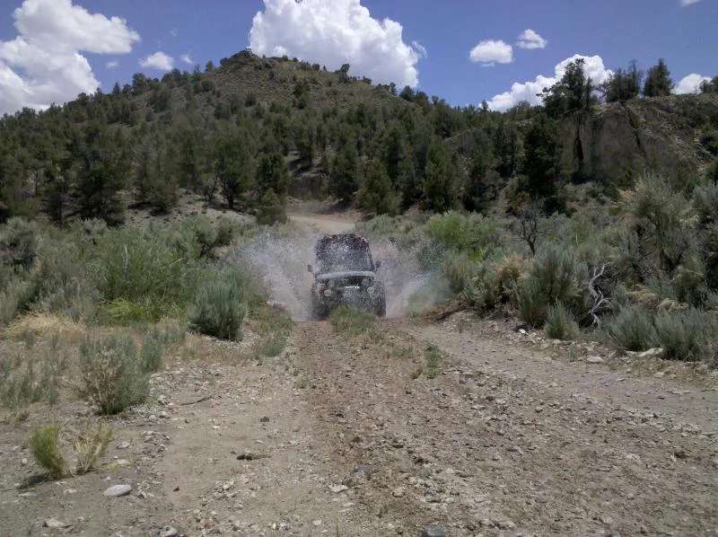 05 northern Monitor Range.webp