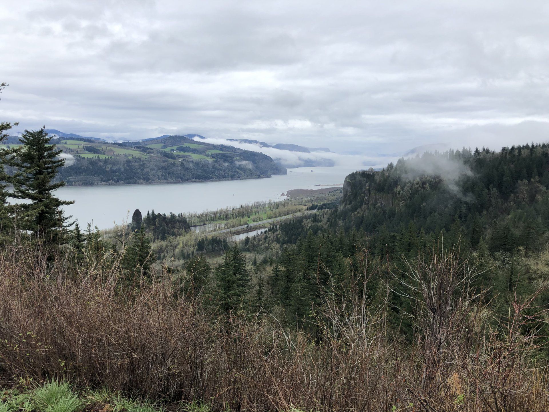 05C26741-F719-4069-8AEC-14275E41C4A2.jpeg