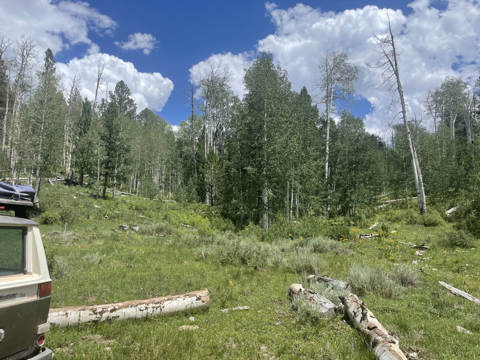 06E549F1-C0DB-469C-AB27-D7C70E950624.jpeg
