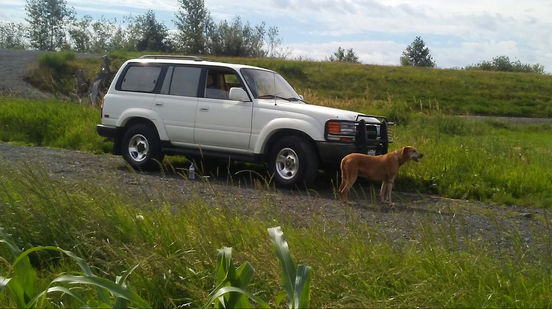 '93 FZJ80 Triple Locked. Washington $5000