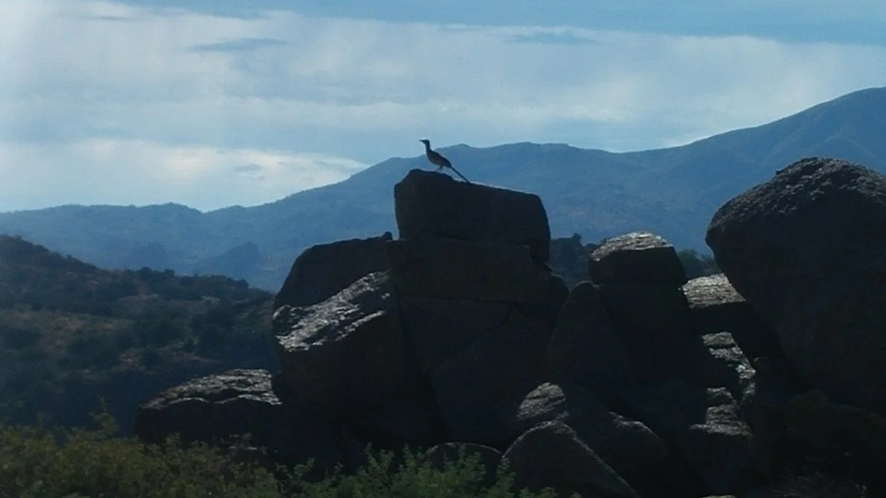 0714h.webp