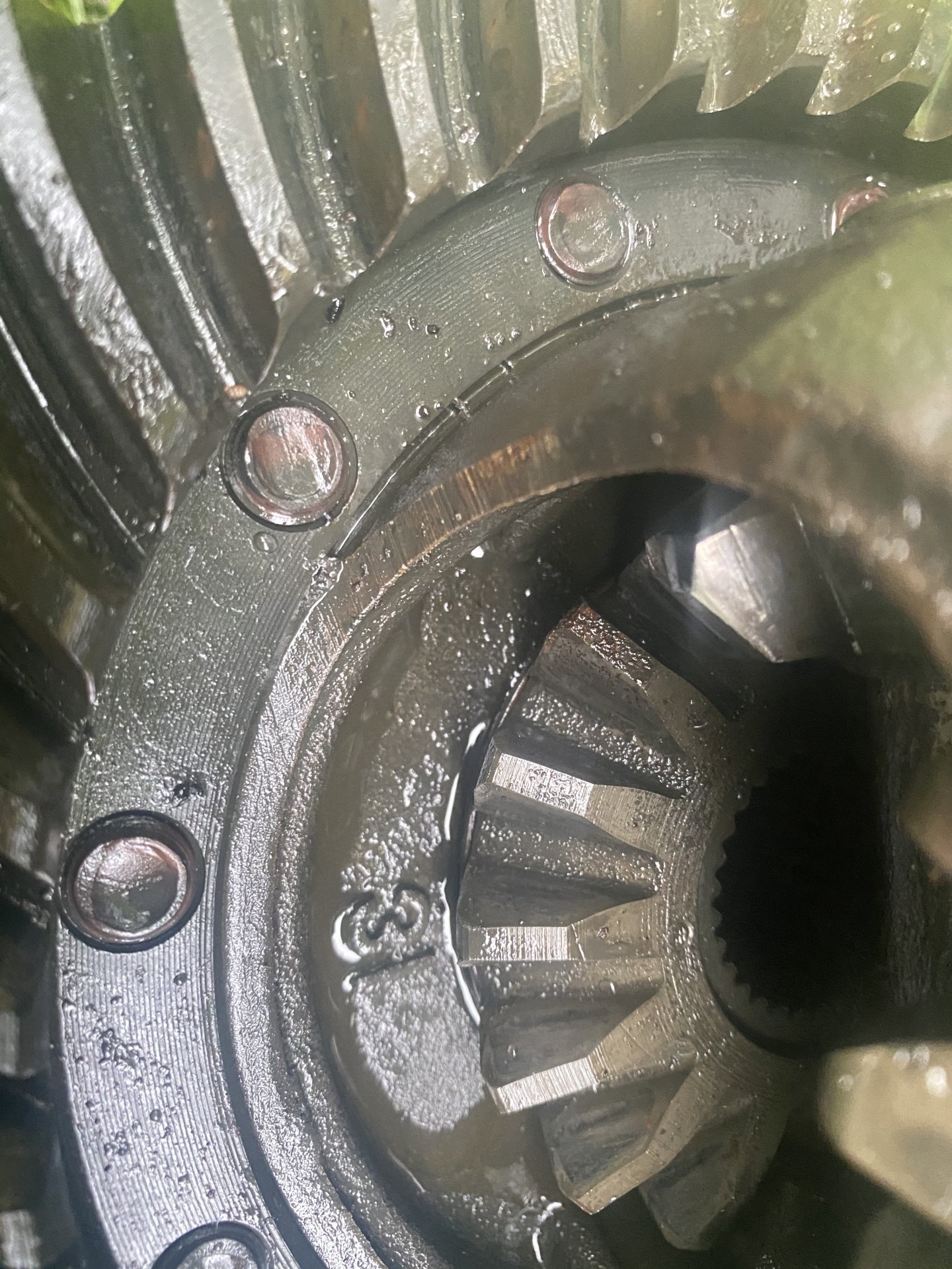 072D9809-551E-406C-814A-147E8D5D6344.jpeg
