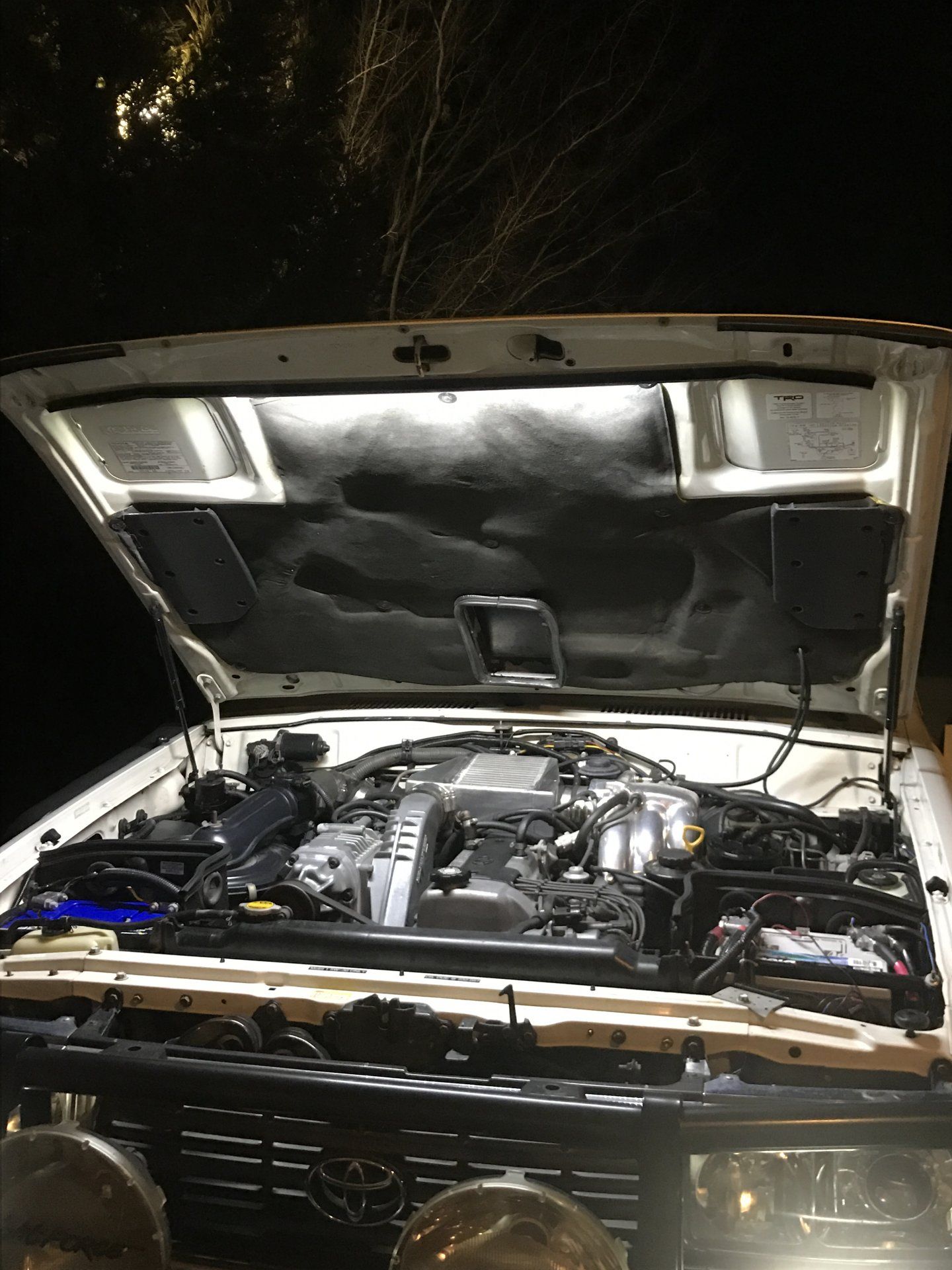 07870381-4E1E-4DDD-B319-ED66529ED55D.jpeg