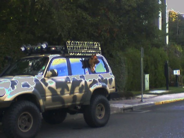 0804070739.webp
