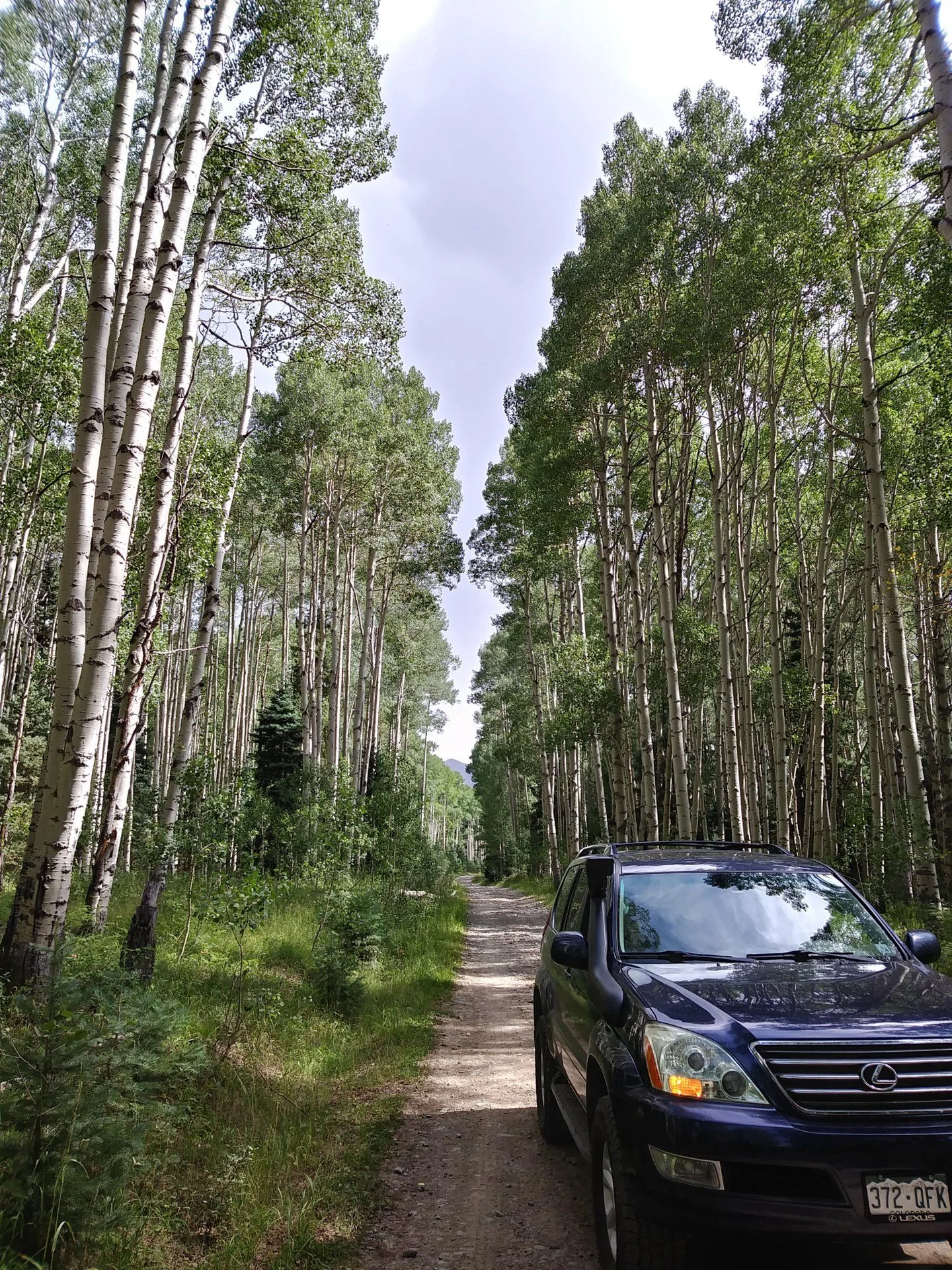0804181551a_HDR.jpg