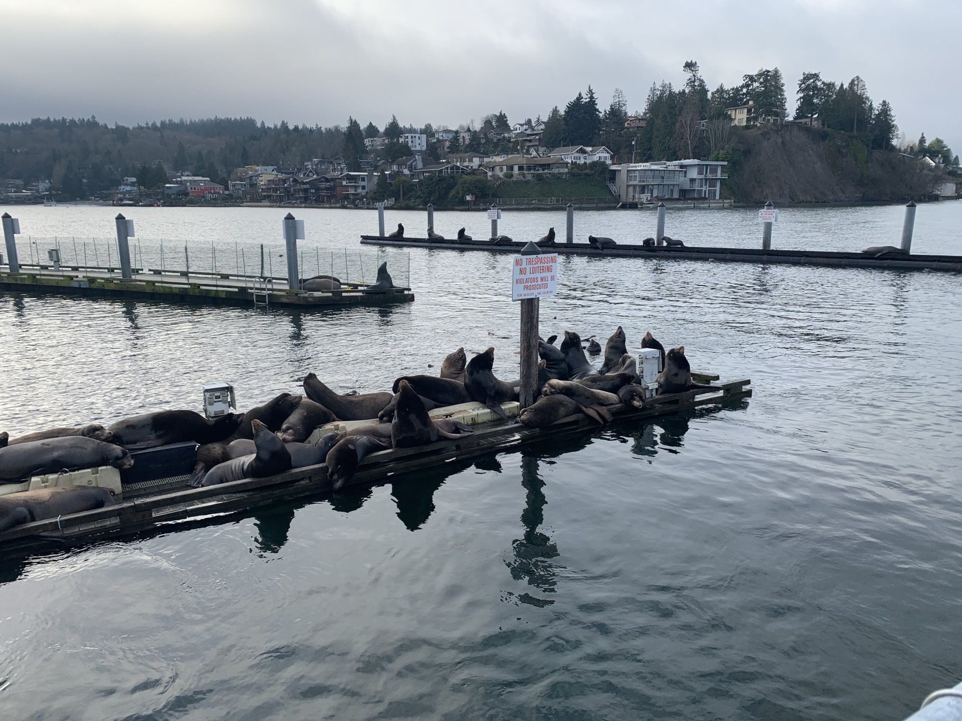 08097629-4D37-455A-BA3A-74E4C27092F2.jpeg