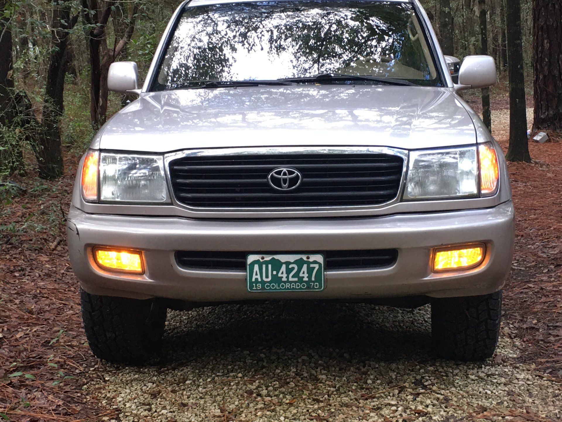 0810863D-7811-4251-8DE1-086F2A7730DF.jpeg