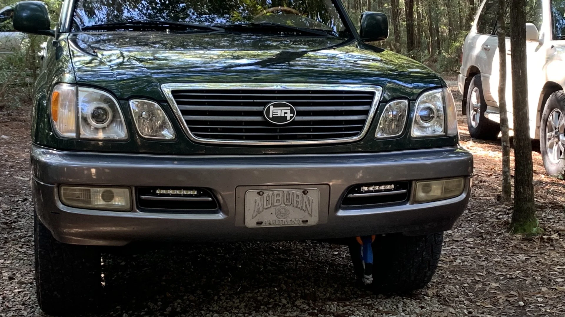 09022D21-6BA6-4611-BF35-5186B12DDF20.jpeg