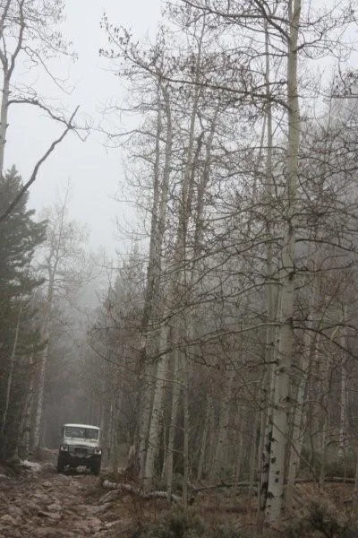 091.webp