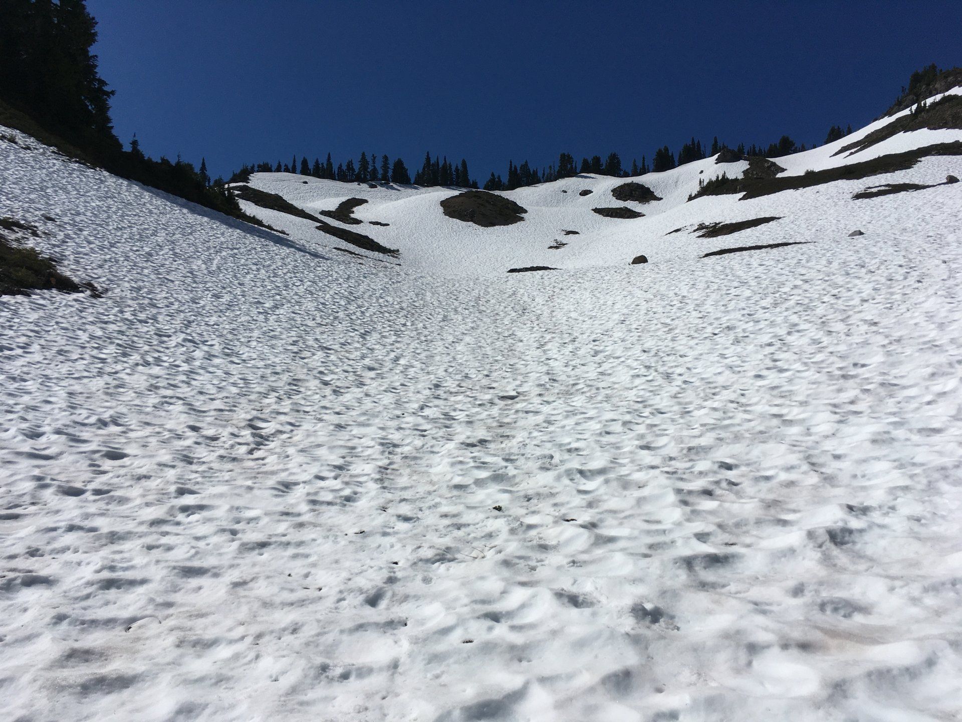 0AB13262-F14B-42CD-A655-DE36C746F2AE.jpeg