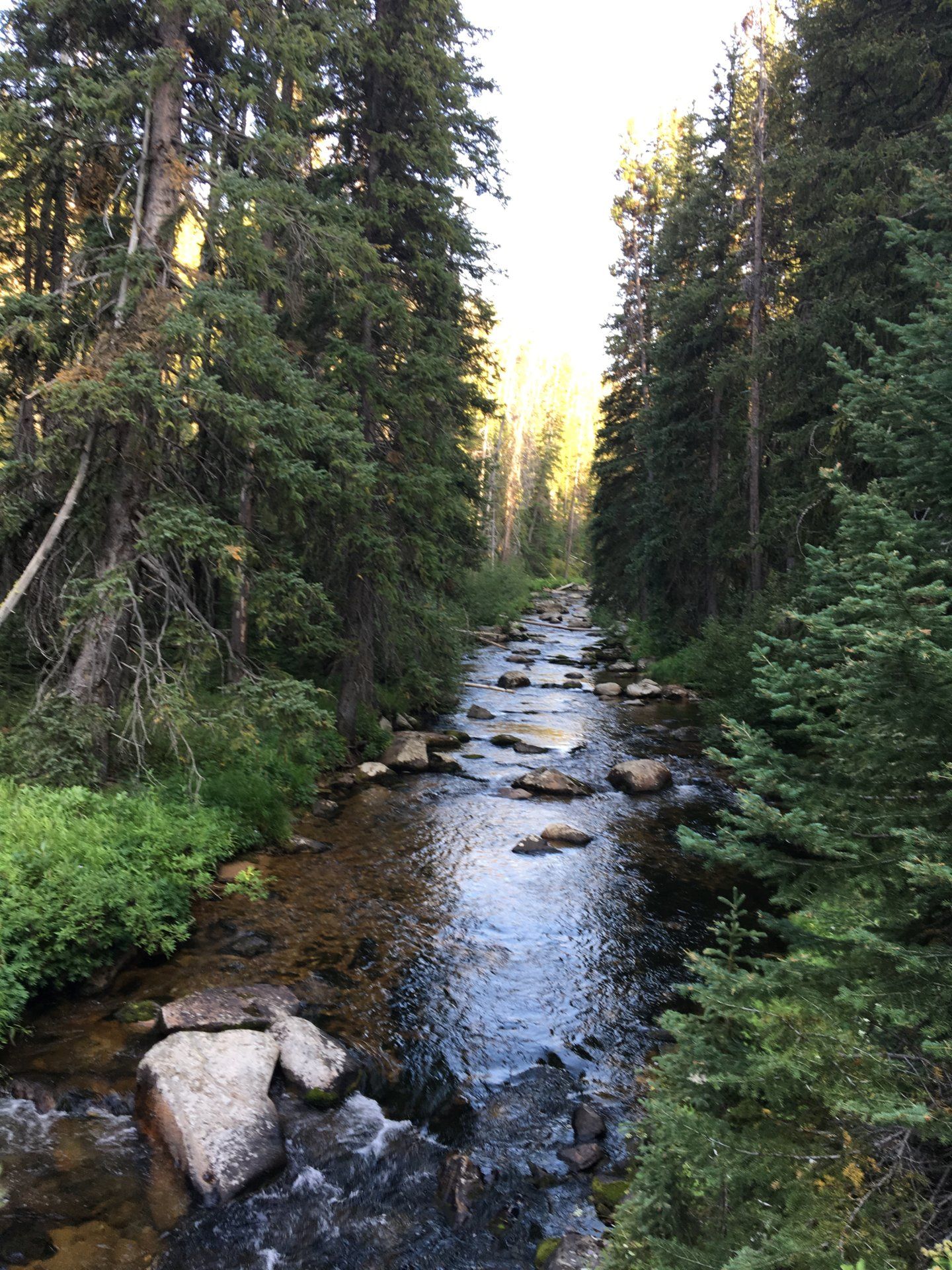 0CE72A3B-C363-4562-BB43-1E3434B04B8F.jpeg