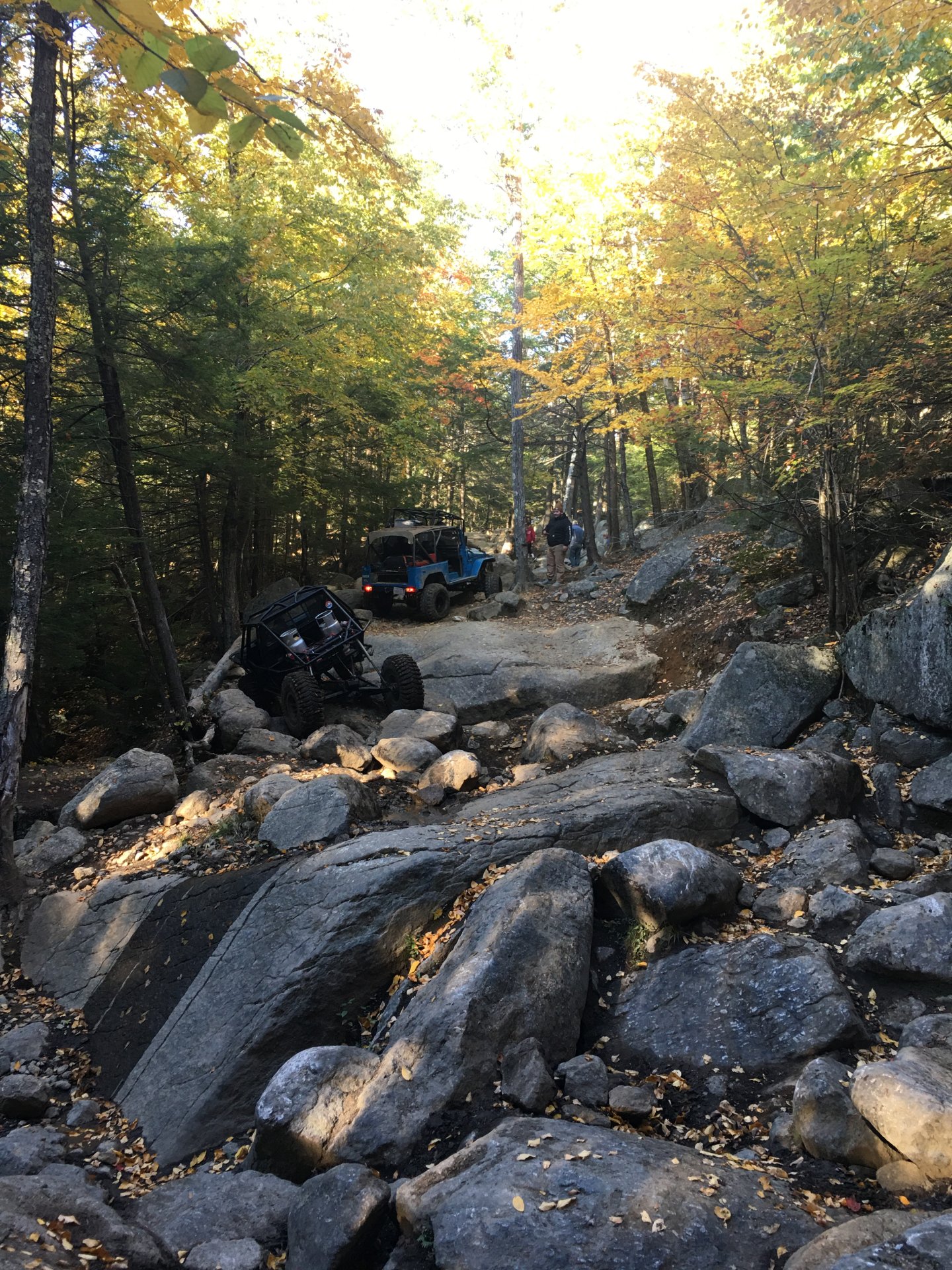 0F3B6360-398C-4238-957D-52032E44FA23.jpeg