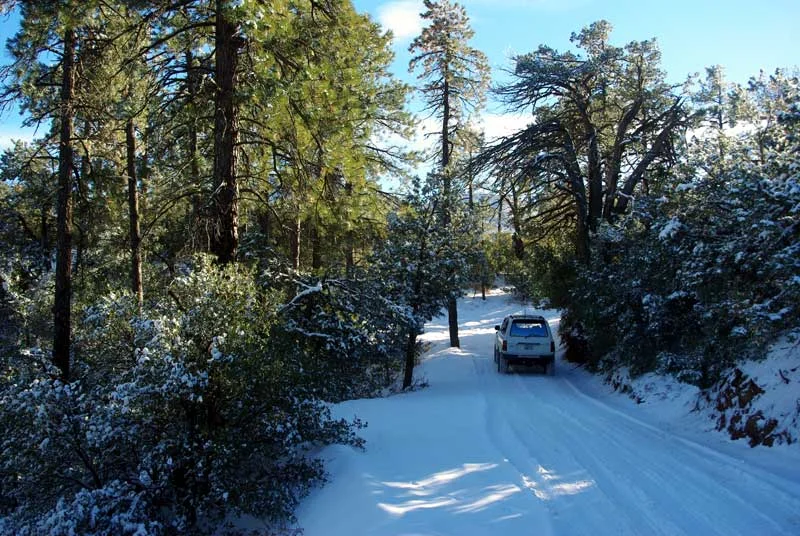 1-1-2013_13.webp