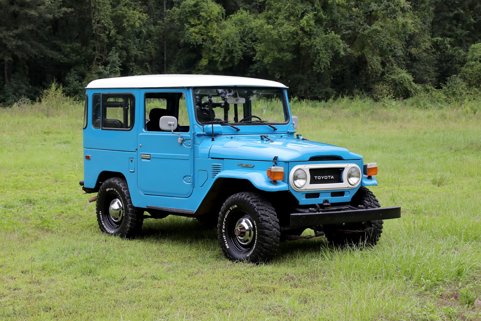 1. MCS_8804 (Large).JPG