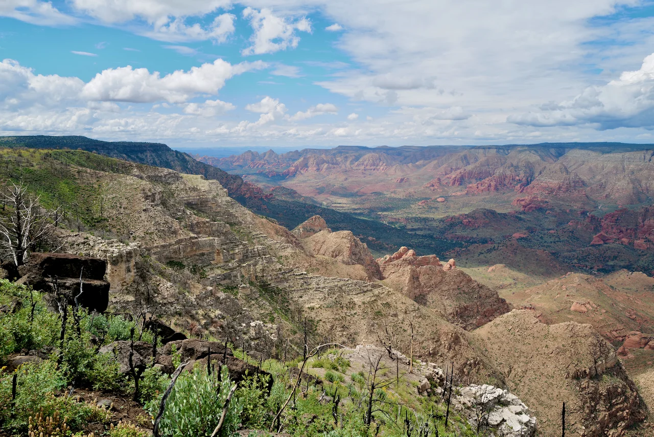 10 Casner View From the Saddle 3.webp