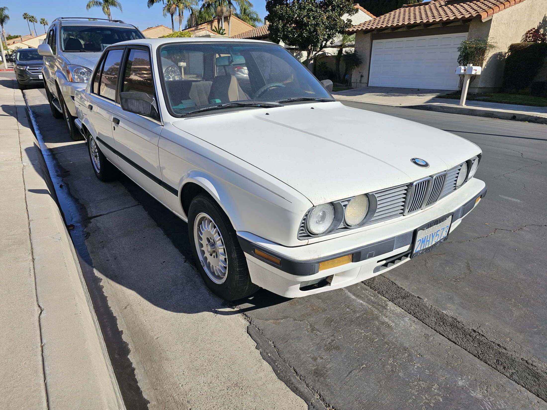 1000019715.jpg
