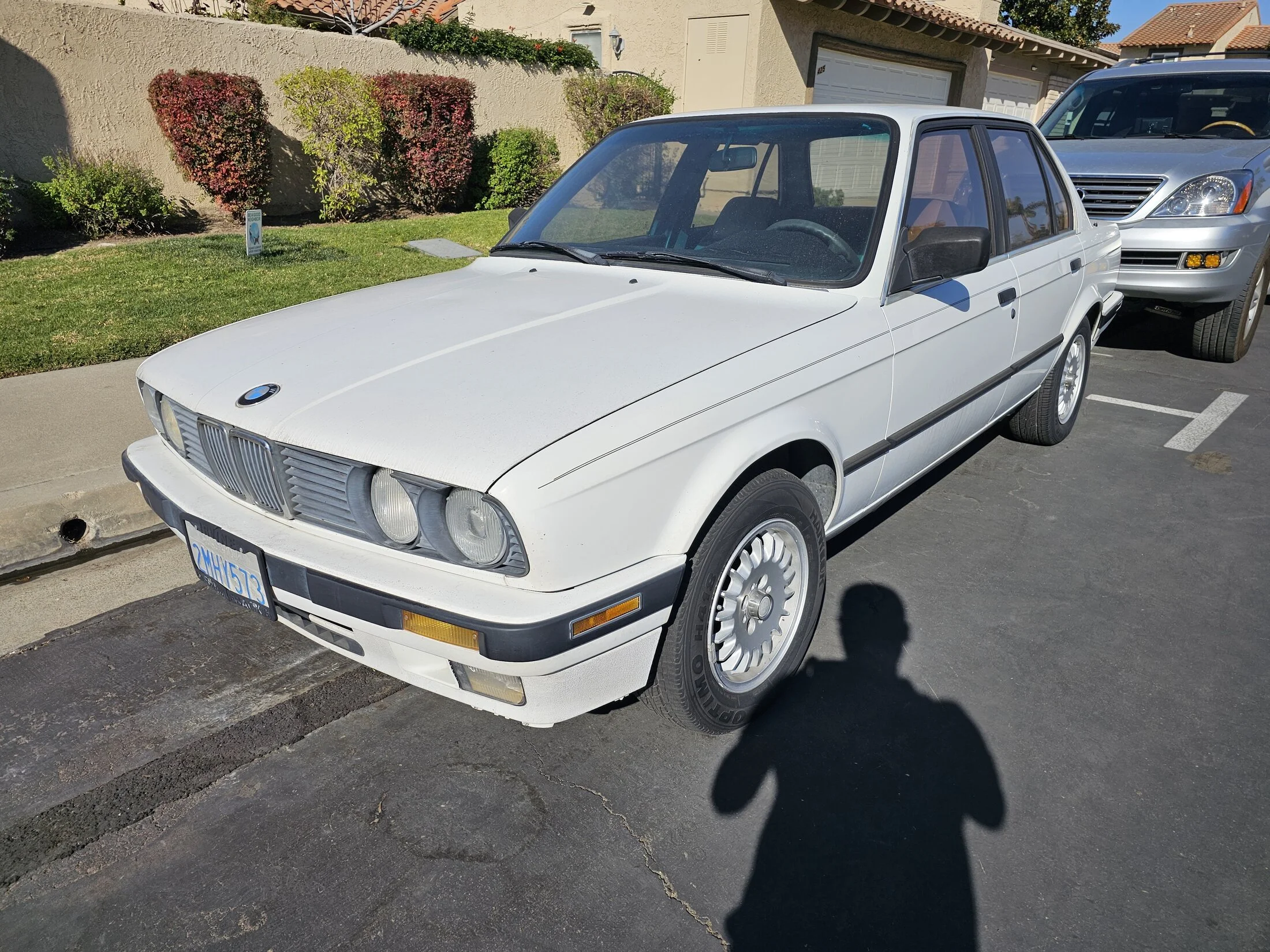 1000019716.jpg