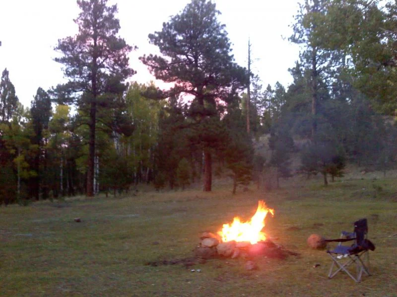 1009001851a.webp