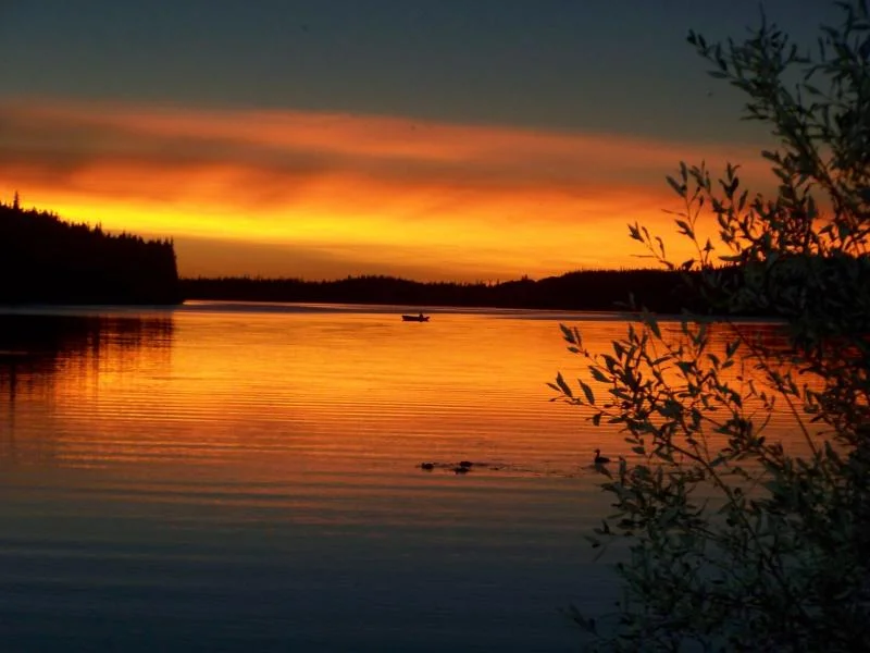 100_0135.webp