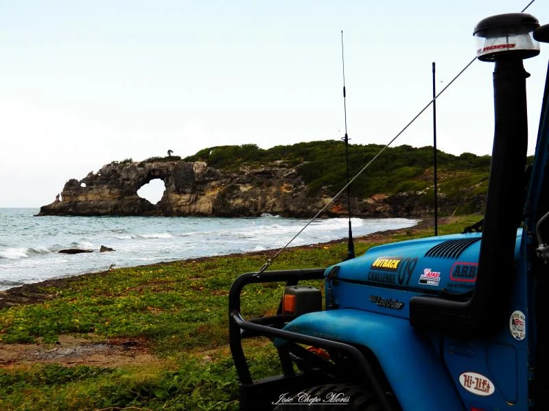 100_0213.webp