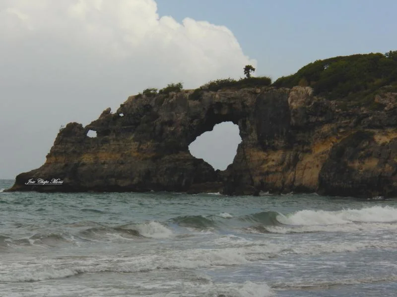 100_0216.webp