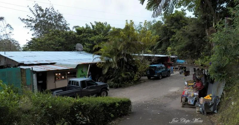 100_0225.webp