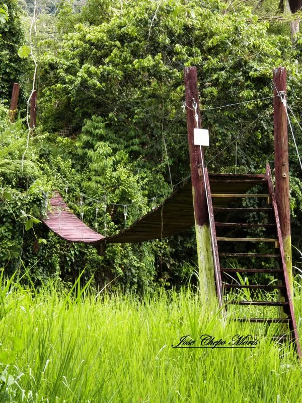 100_0259.webp