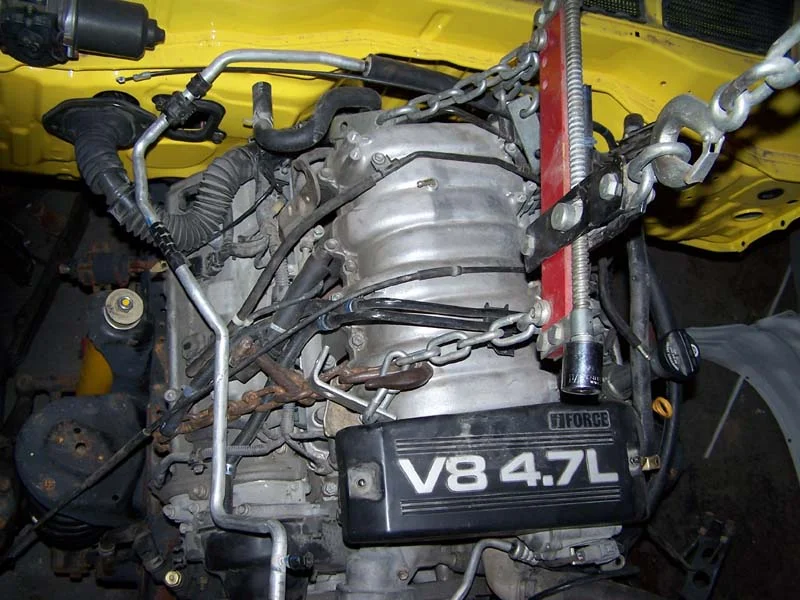 100_0565.5.webp