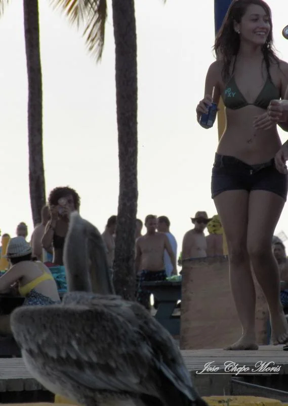 100_0720.webp