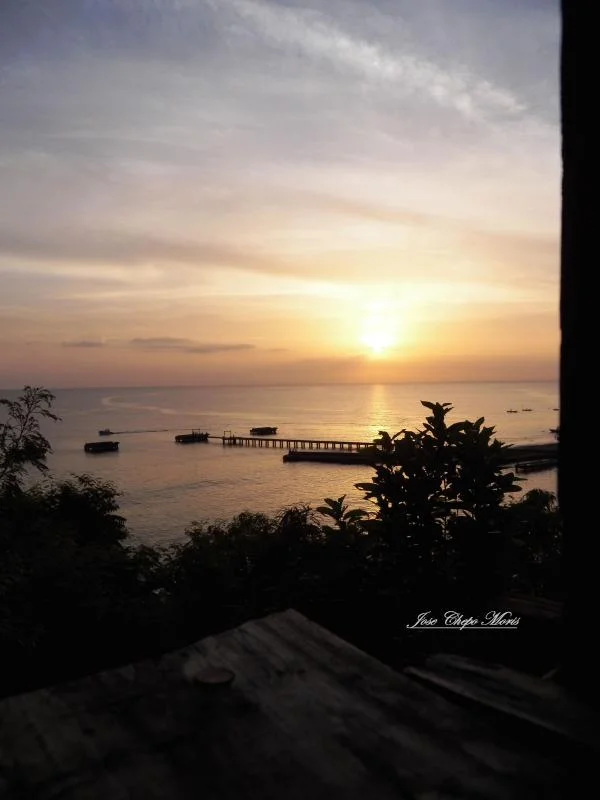 100_0732.webp